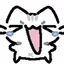 esquilo_gatito avatar