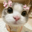 CubyRooby avatar