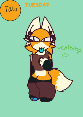 snapshot