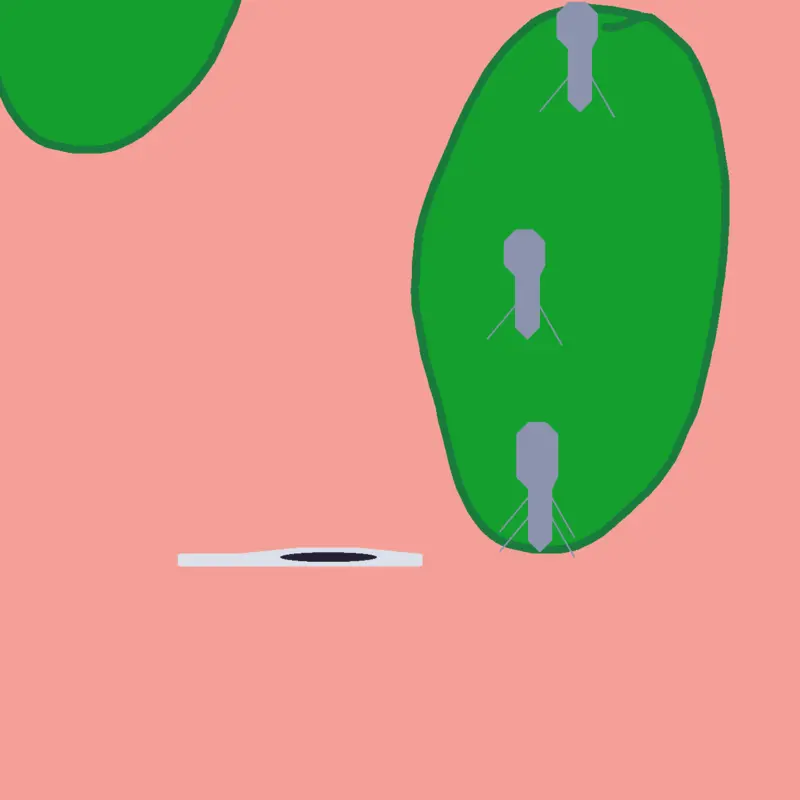Game by @Infinitybox_animations