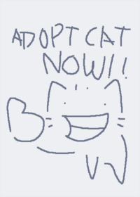 Adopt your silly little cat