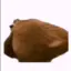ifhdmafngfgggwfqa avatar
