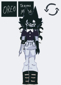 Miss circle ragdoll