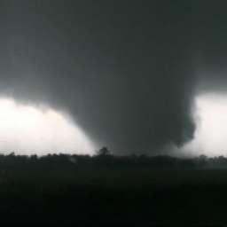 @Domicile_StormchaserVN