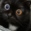 weird_heloa avatar
