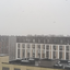 Snowy_Today avatar