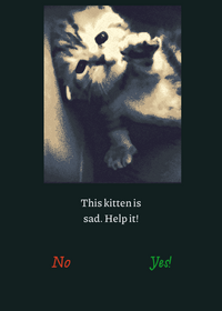 Help the sad kitten :(
