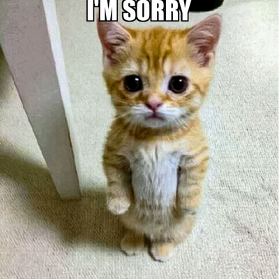 @Pink_Meow