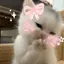h3llokitty1 avatar