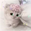 lizzy_fizzy avatar
