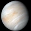 venus5 avatar