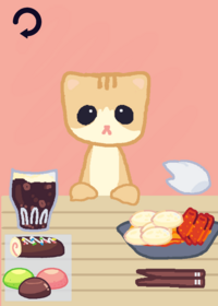 Cat in kitchen
