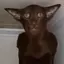 noididntdothedothatdoing avatar