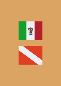 flag band
