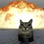 BOOMOFFICAIL avatar