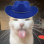 NaturedBeast avatar
