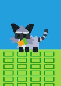 Endings of a raccoon