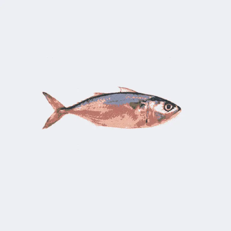 Fish by @den2017