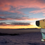 Chill_guy_that_dont_care avatar