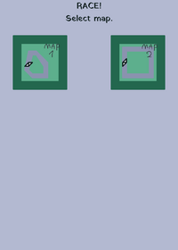 Race