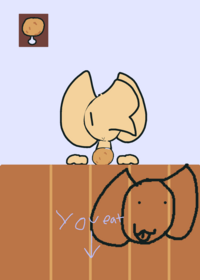 Chicken feeder