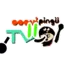 CoquipinguTVGames avatar