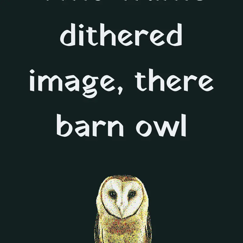 Who wants dithered owl? by @chitergun