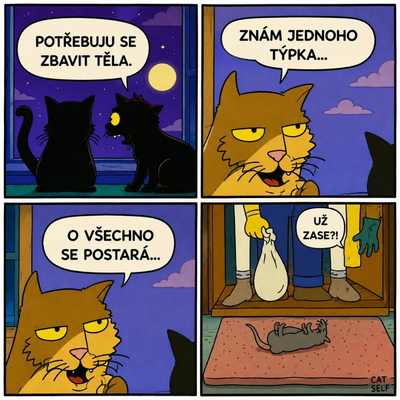 @Sandras89