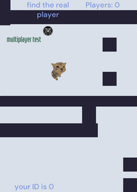 FIND THE REAL PLAYER