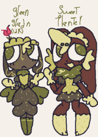 Bassie cocoa