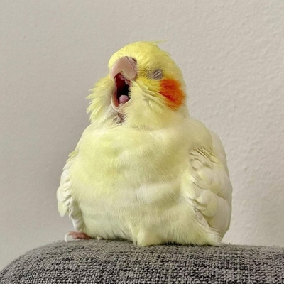 @yesdude999
