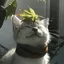pinky_paws avatar
