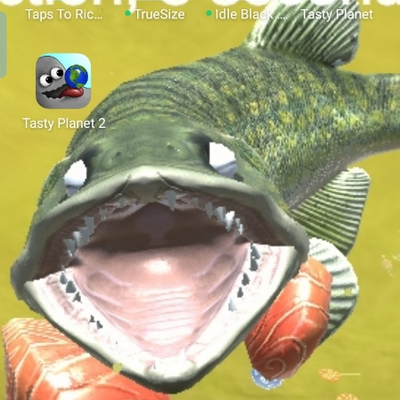 @fish_hamster_Official