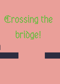 Crossing the bridge!