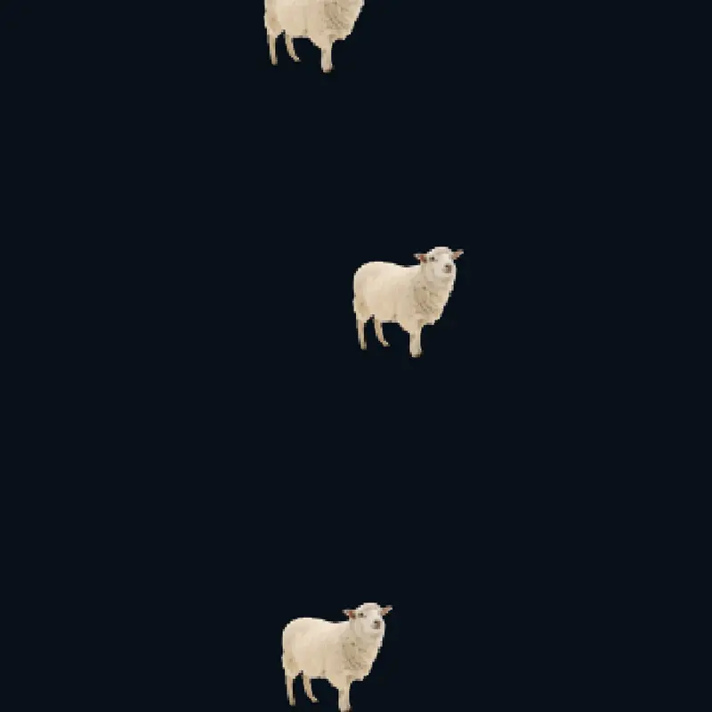 sheep by @labersier2_followerusaus