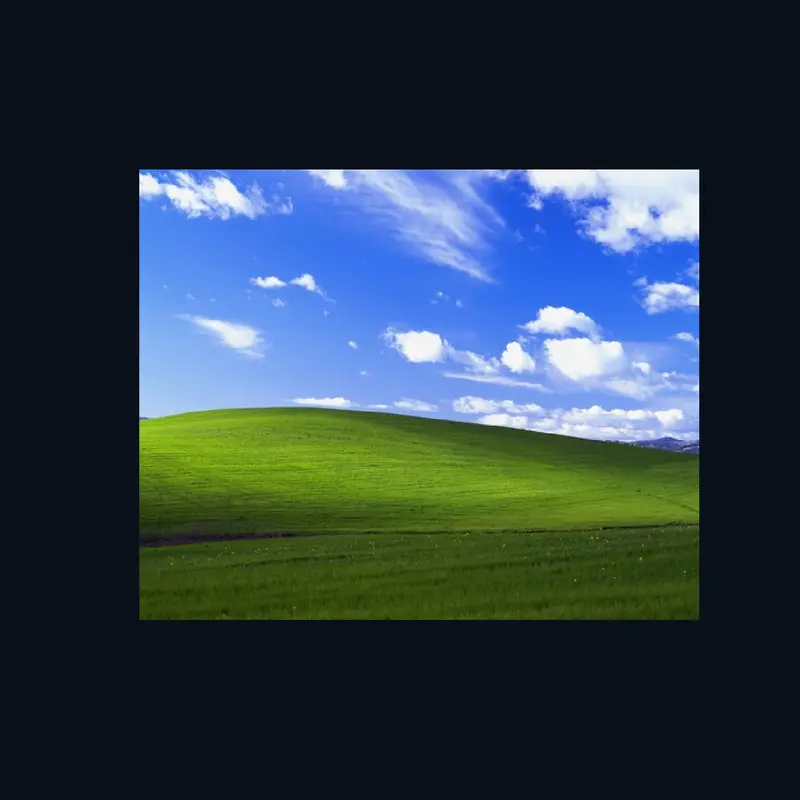 Bliss Windows XP by @Maple_Miles