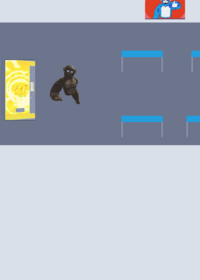 Lethal ape