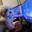 PupiGamer avatar