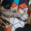 sleepy-cat avatar