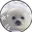 Sealcool avatar