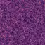 Observable-Universe avatar