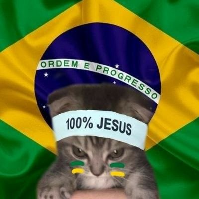@A_Normal_Cat
