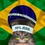 A_Normal_Cat avatar