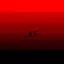 _xf avatar