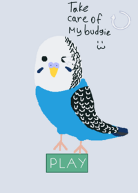 Take care of my parrot^~^