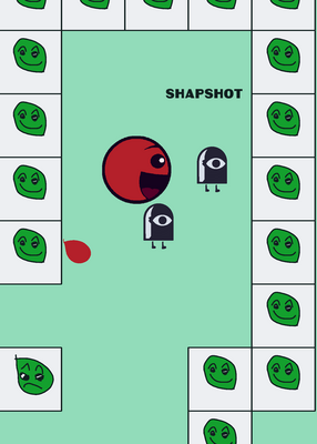 snapshot