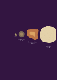 Size comparison