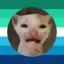 SSight avatar