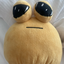 Macieii-lol avatar