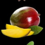 regahy avatar